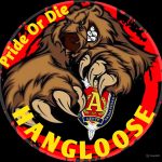 IMG-20250817-WA0001